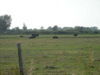 DSC09989.JPG